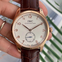 IWC - IWCPG14 #IW545408